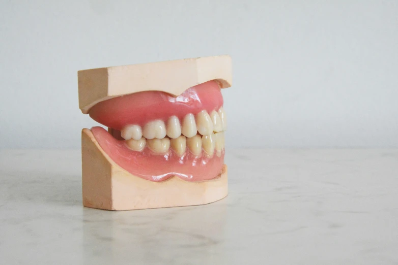 a wooden teeth model, made of wood