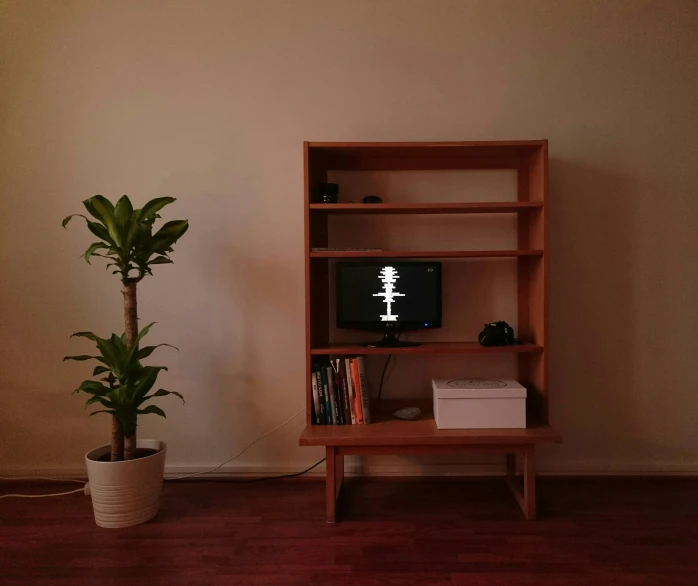 an old television is next to a plant in a pot