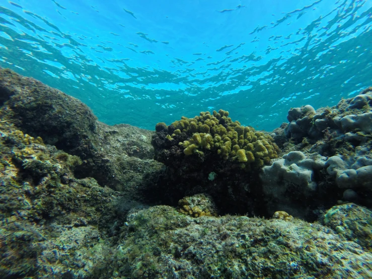 the blue water is reflecting sun and the reef