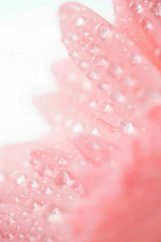 an extreme close up of water droplets