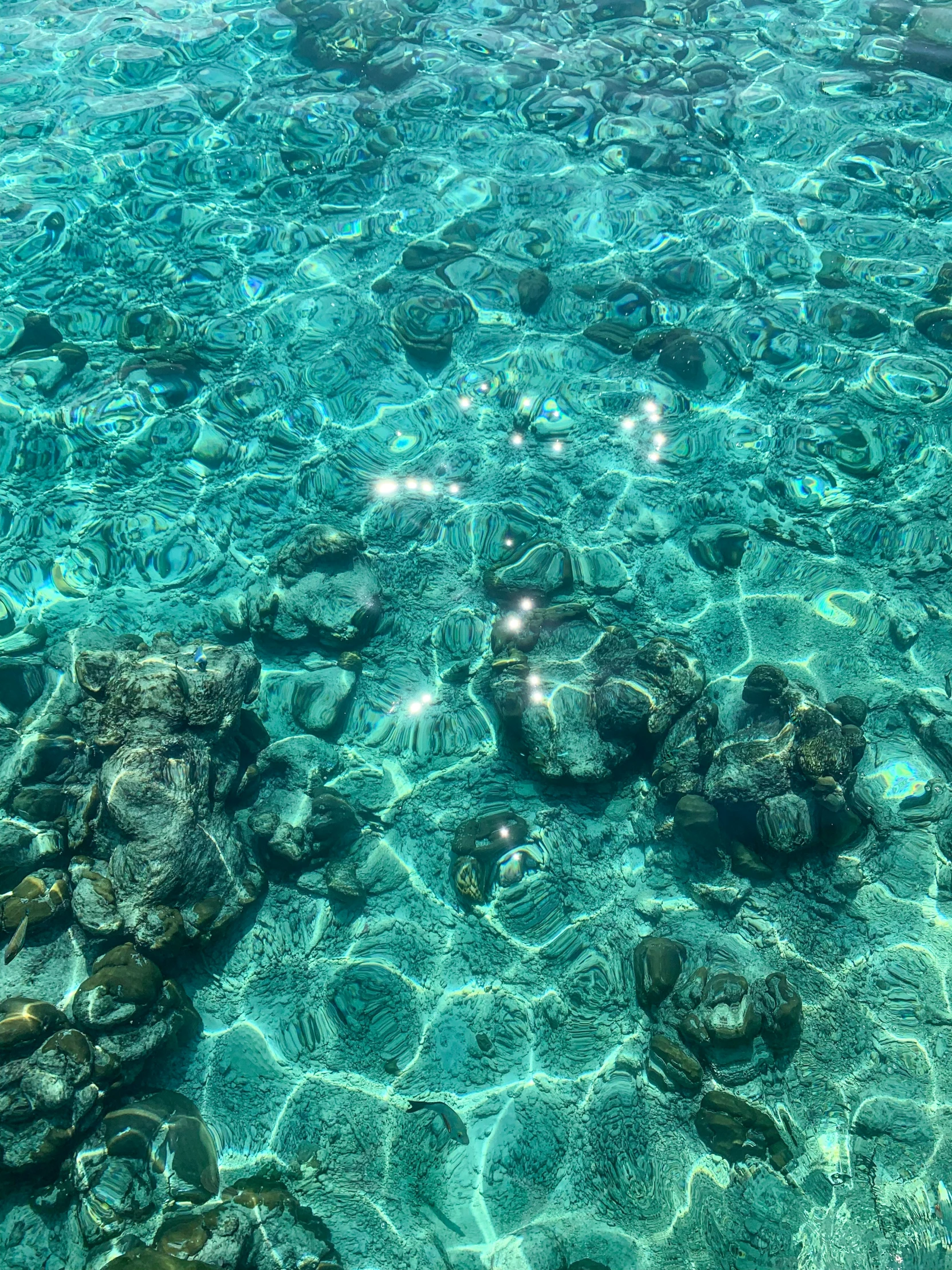 clear, green water with rocks in it
