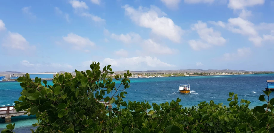 a beach with several boats and tropical trees