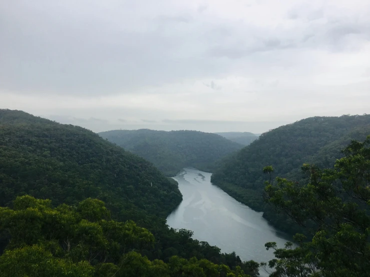 there are trees and shrubs along a river