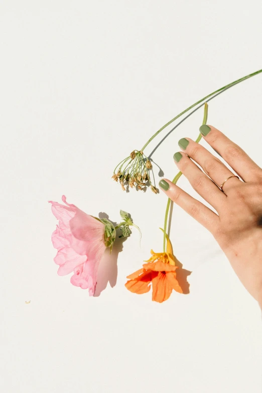 two flowers hanging in a person's hand with the sky