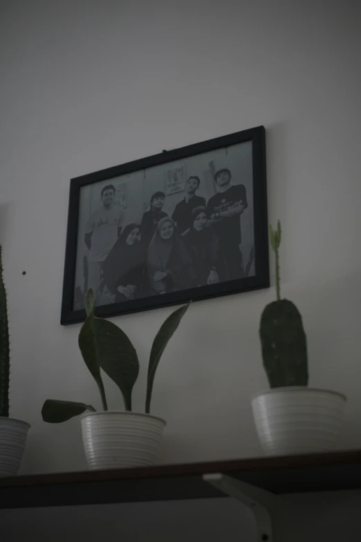 a black and white picture hanging on a wall next to three potted plants