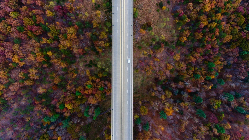 an aerial view of a highway passing between two trees