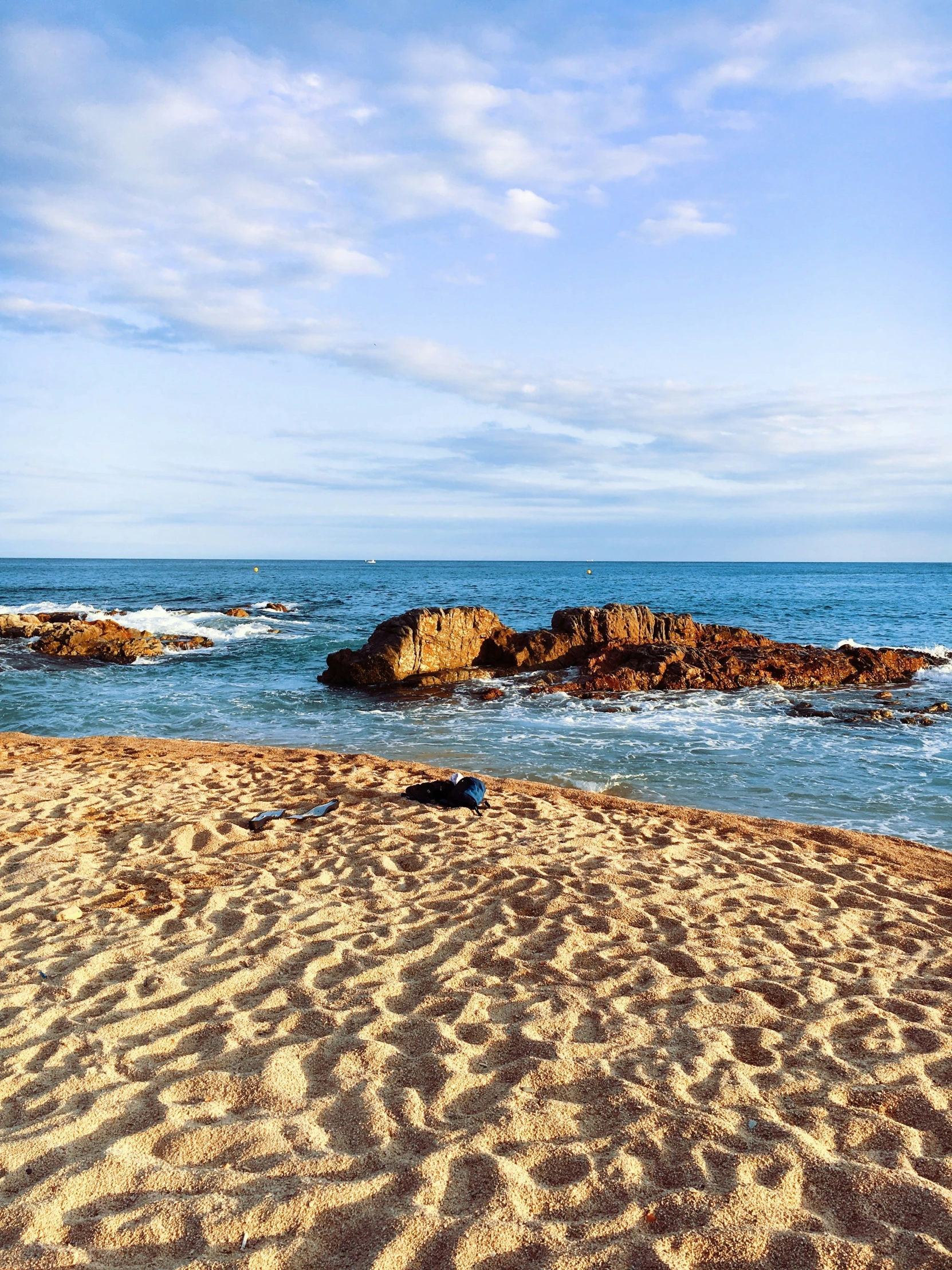 dog lying on sand area next to beach with rocks