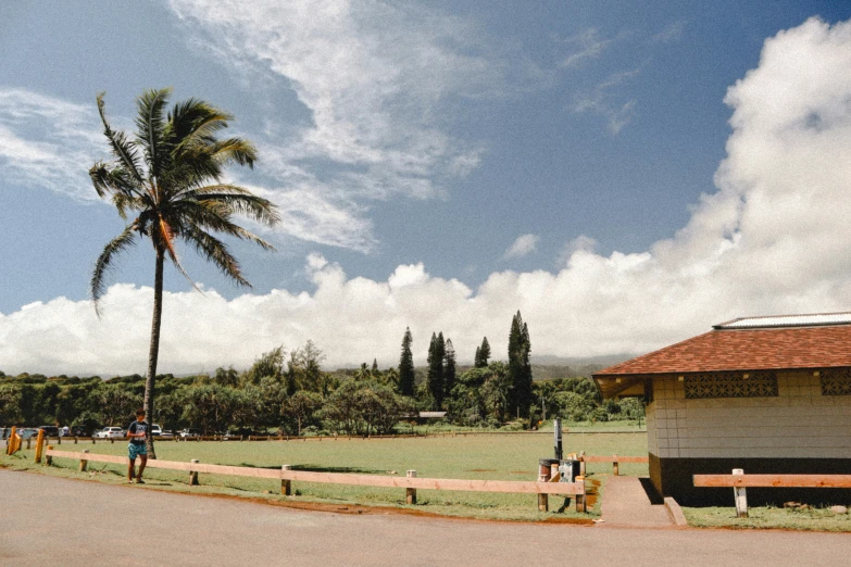 there is a large house next to a palm tree