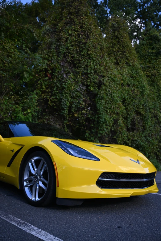 a close up of a yellow sports car parked in front of some trees