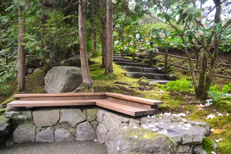 a wooden bench sitting in front of trees and moss