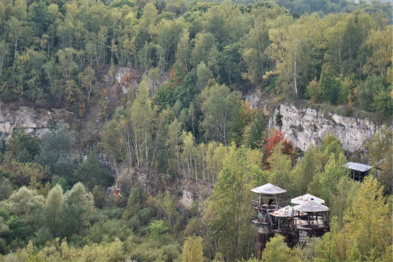 trees in the background of a wooded landscape