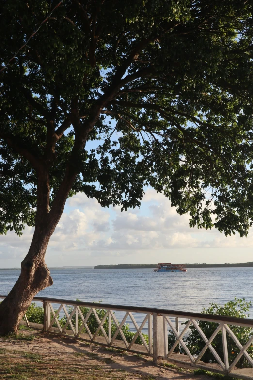 a white fence and trees next to the water