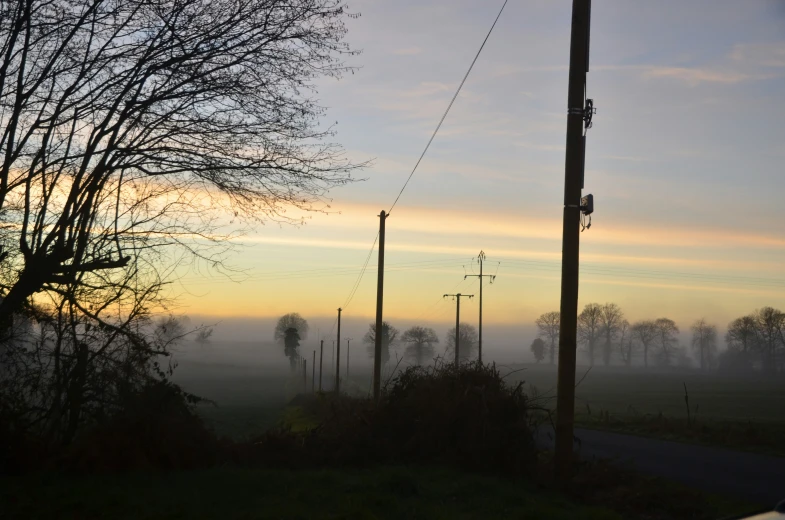 some telephone poles on a foggy day