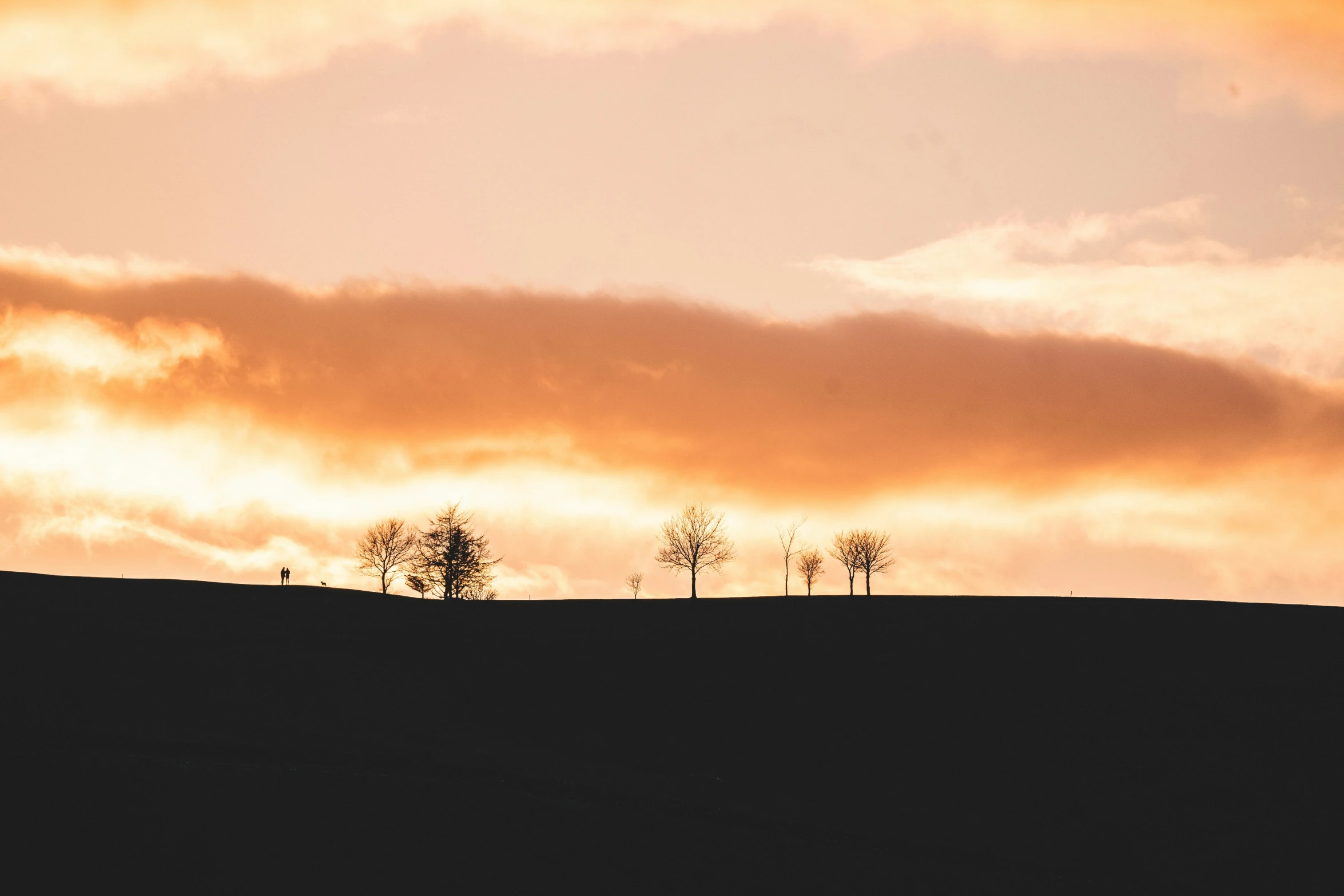 a view of a cloud and trees at sunset