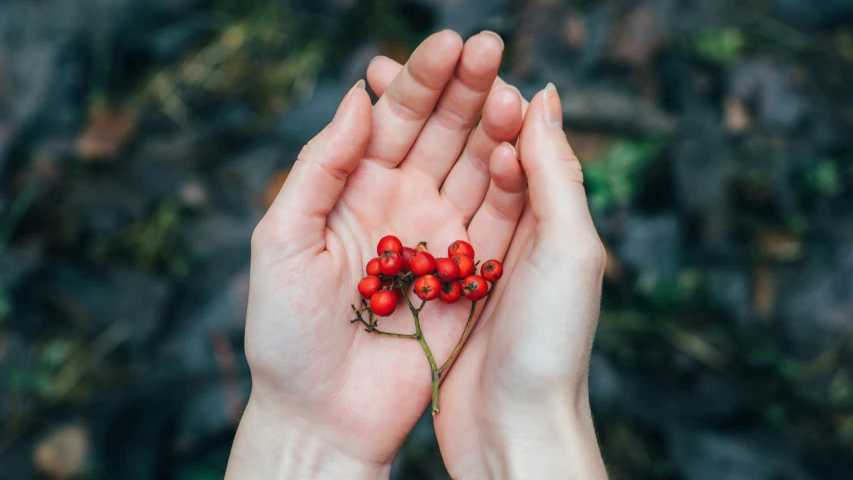 hand holding out berries on top of each other