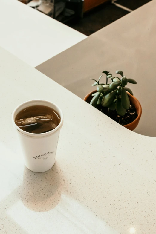 a white cup with coffee next to a potted plant