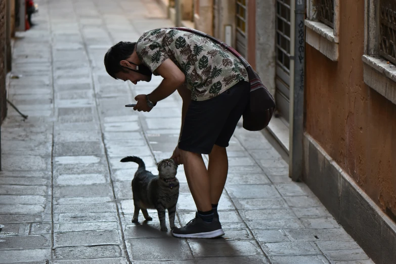 a man is feeding a cat on the sidewalk