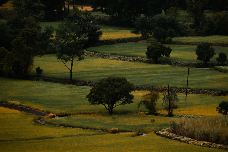 an aerial view of a green field with trees in the distance