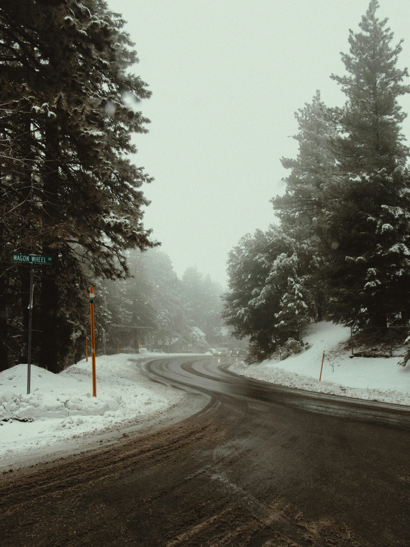 the road is empty on a foggy winter day