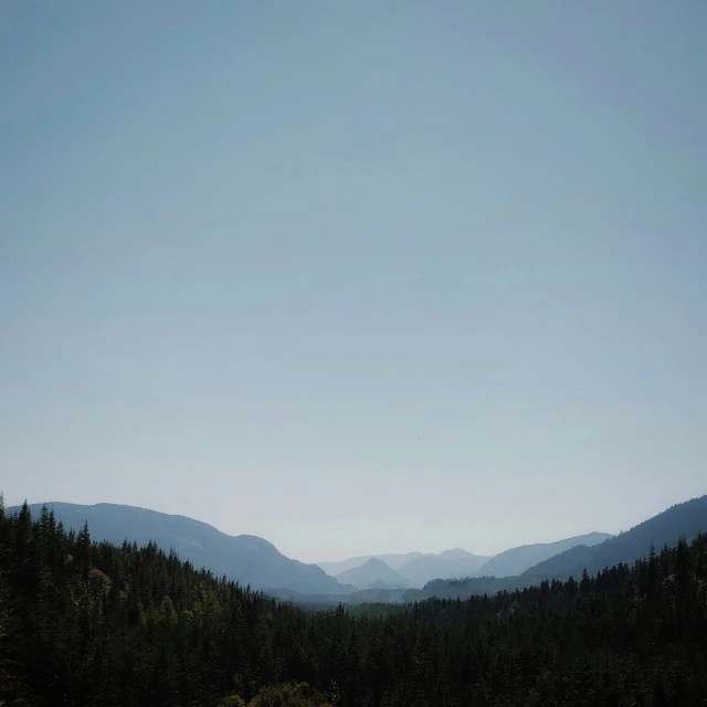 a beautiful view of a mountain range with pine trees