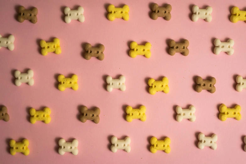 yellow and white dog shaped cookie cookies arranged in the shape of squares