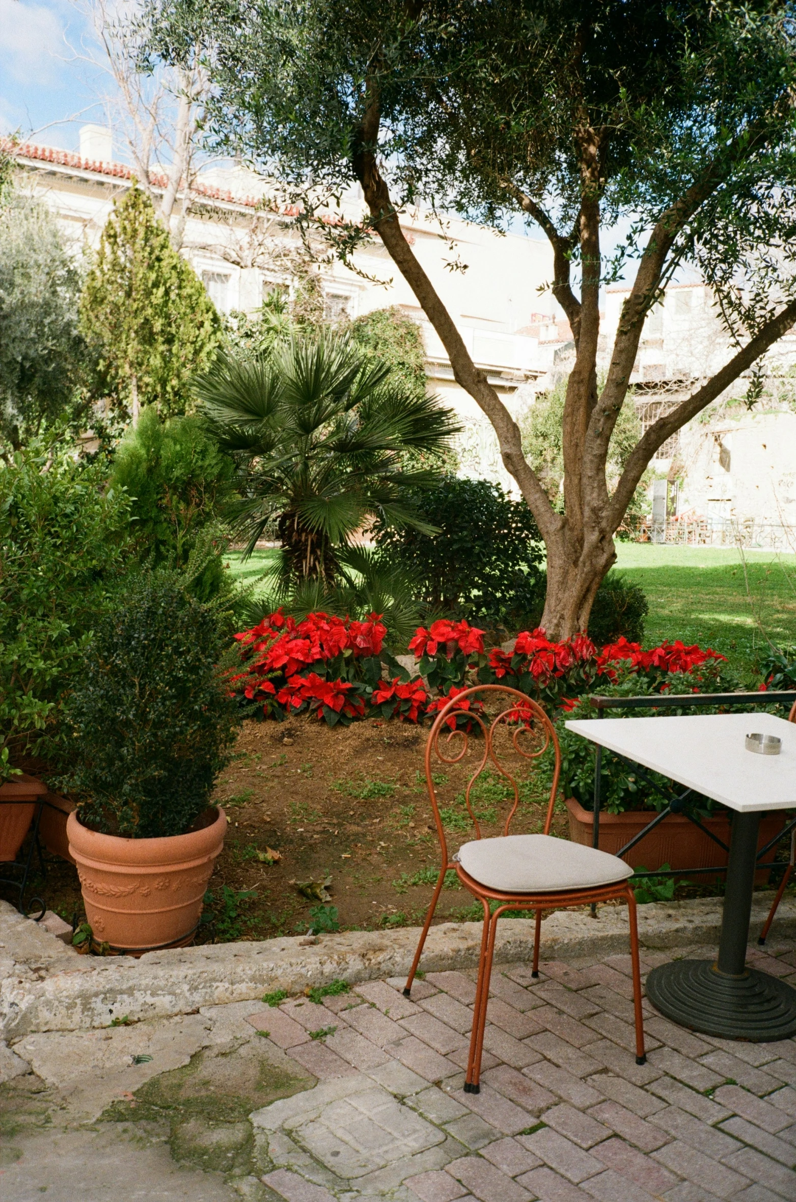 a patio with some flowers and potted trees