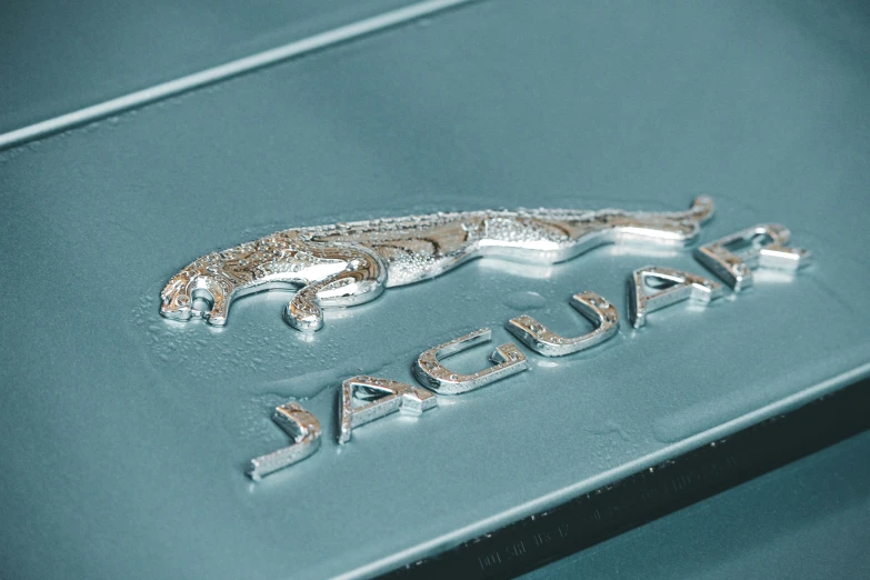 a jaguar logo that appears to be chrome on a car