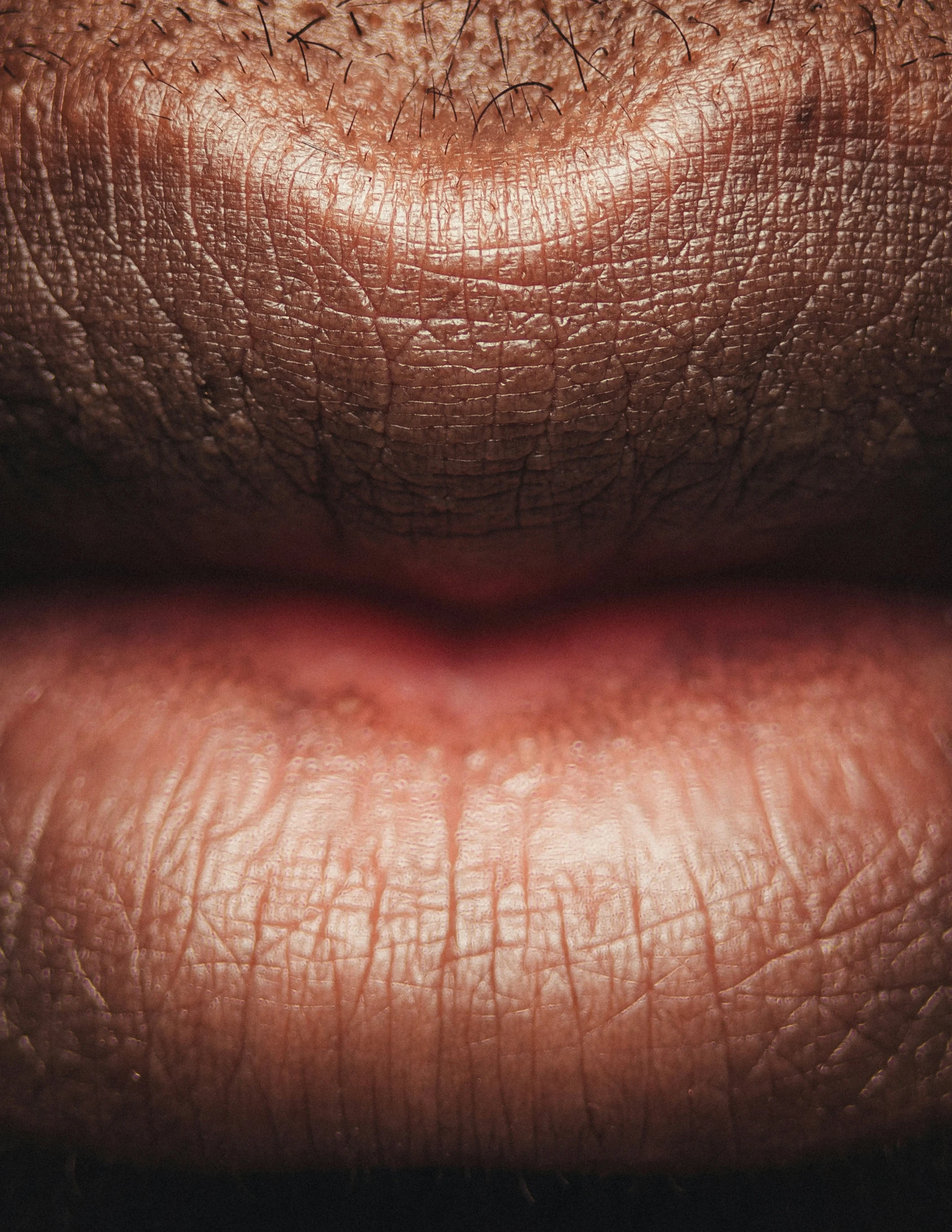 the lips of two women with brown tones