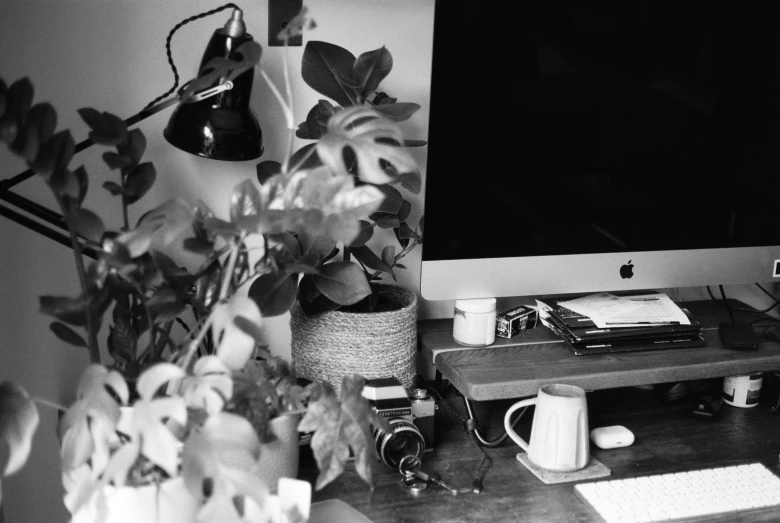 the desk is filled with books, a computer monitor, cup of coffee and a plant