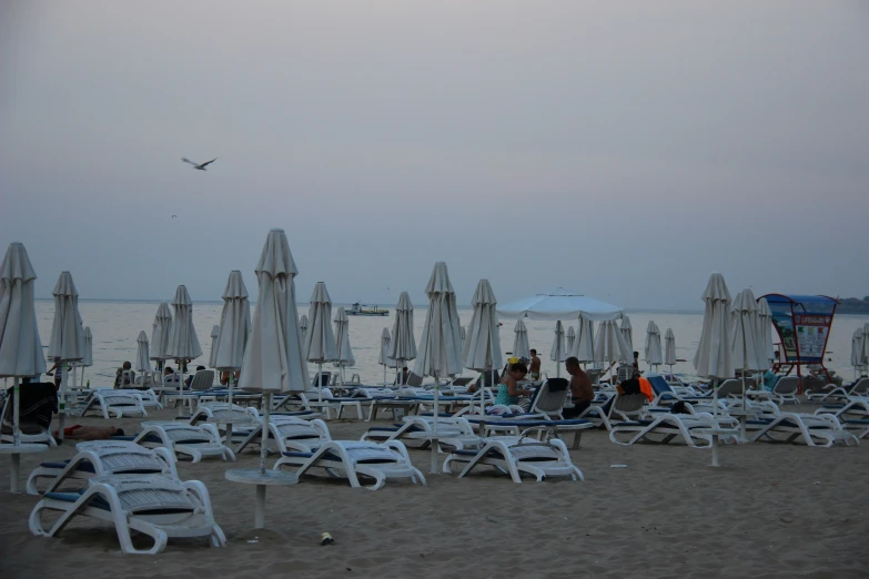 there are many white lawn chairs on the beach