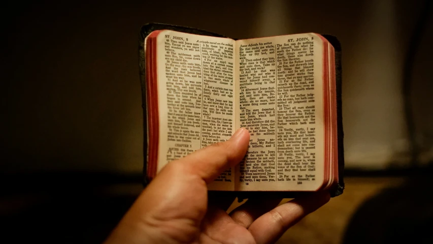 the person is holding an old book with a little writing on it