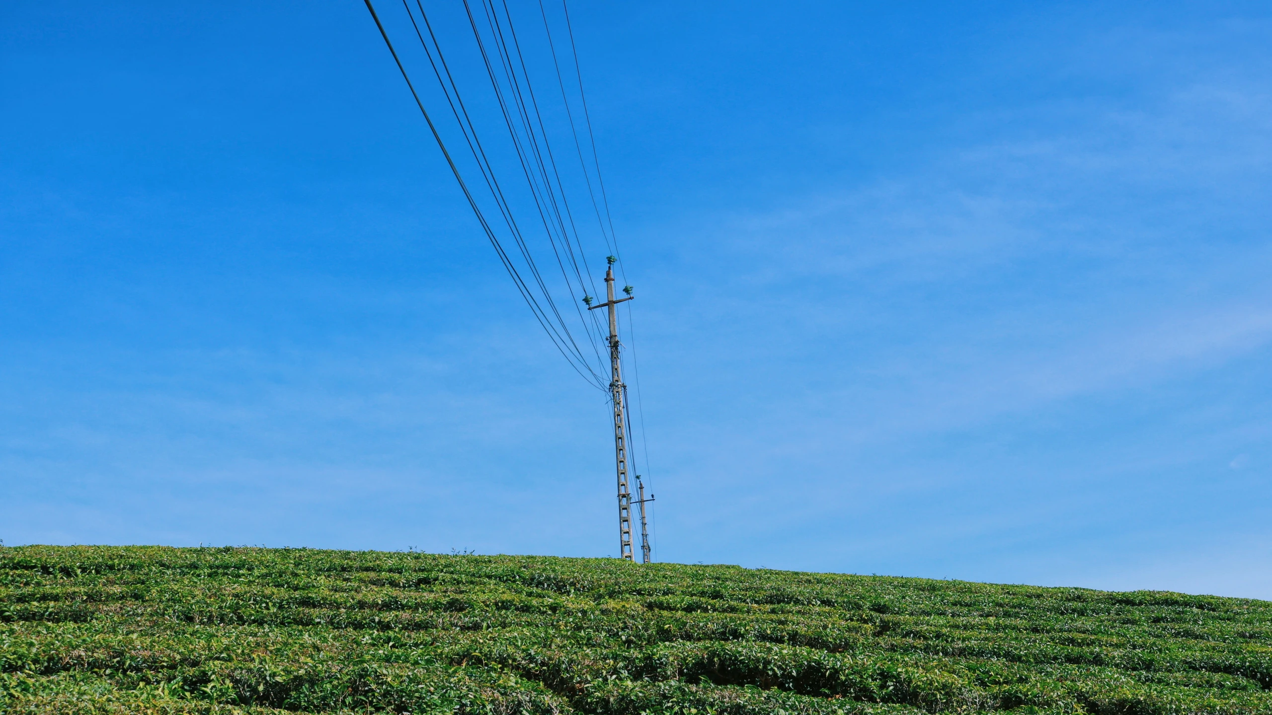 the telephone pole on the hill is above the power line