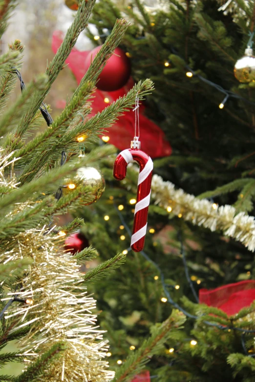 a christmas tree has some candy cane decorations