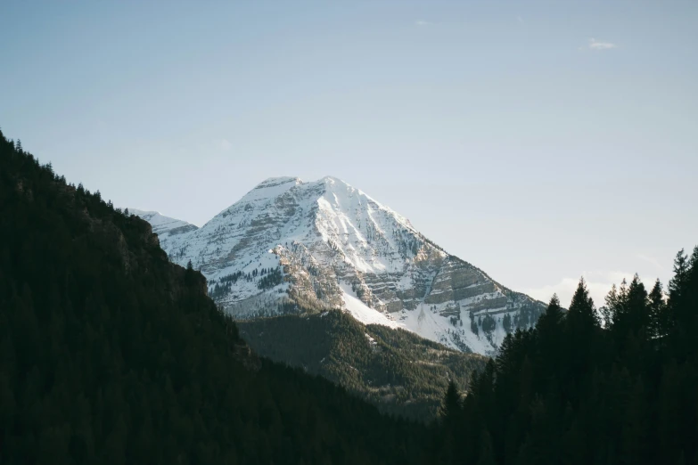 a tall snow covered mountain with trees