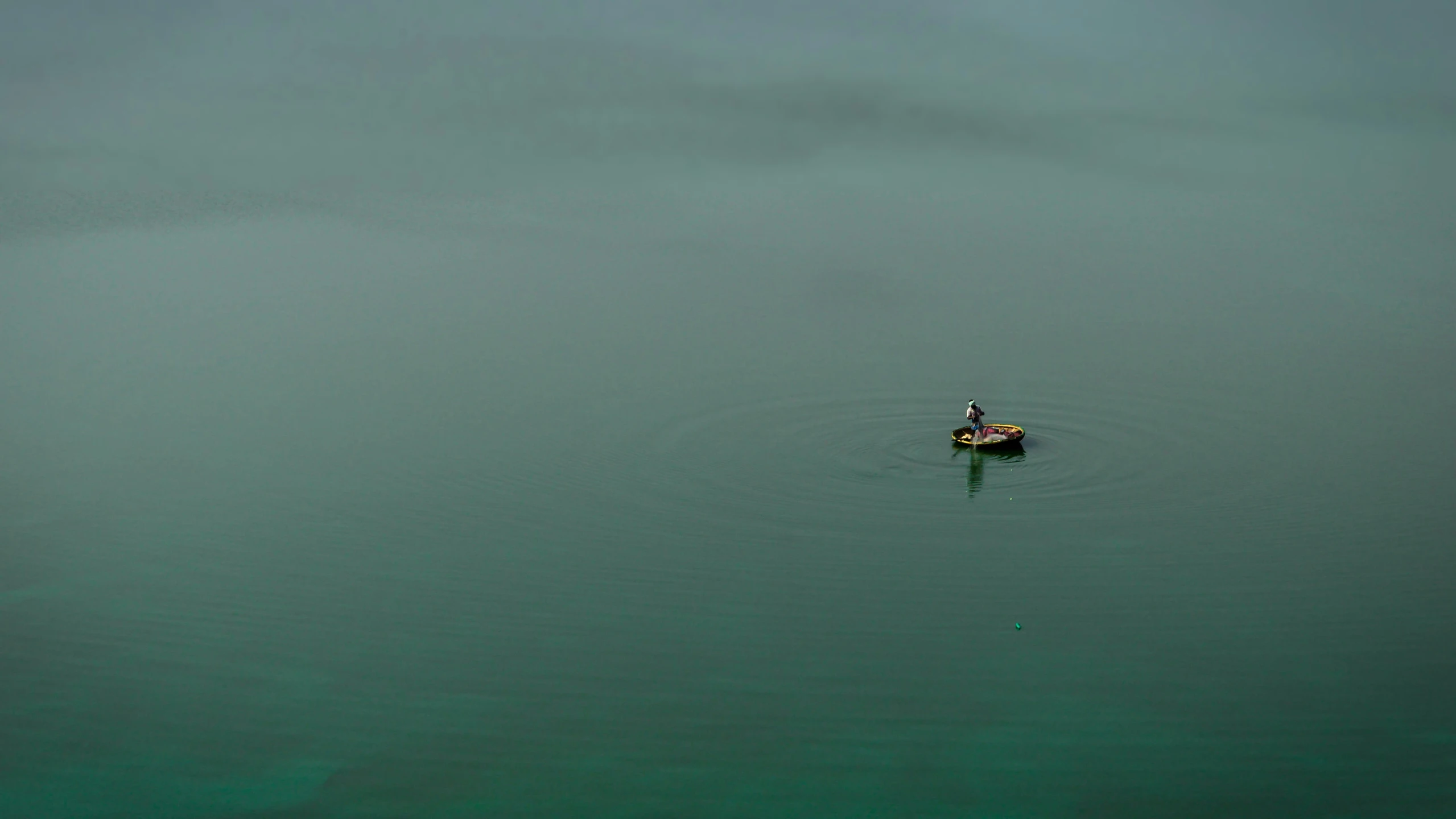 a duck is swimming in some shallow water