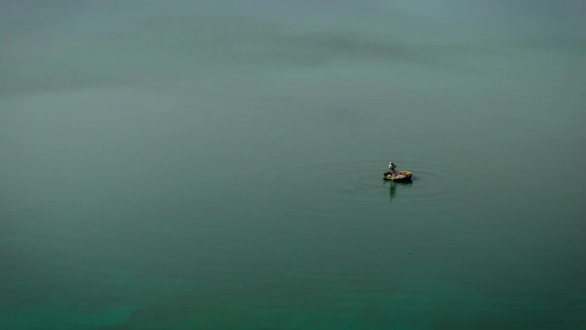 a duck is swimming in some shallow water