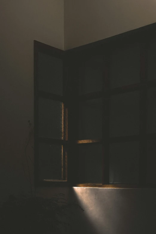 a window sill is shown with light coming in