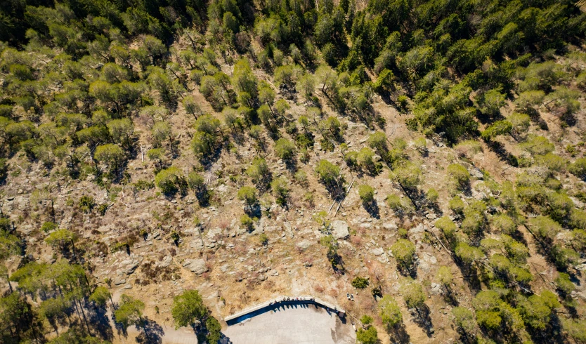 an aerial view of a field and forest in the background