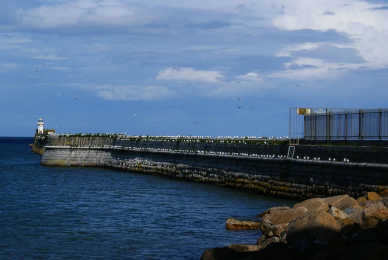 birds are flying over a concrete pier with the ocean in the background