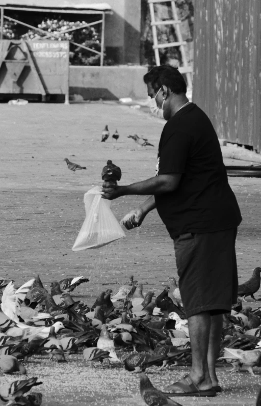 a man holding a plastic bag near lots of birds