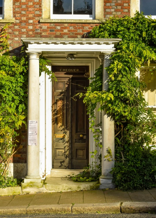 an outdoor archway is adorned with vines and trees