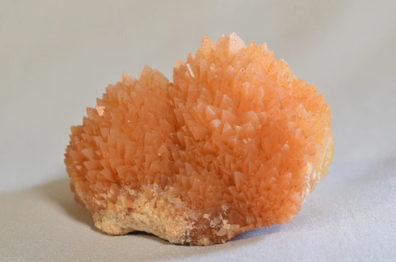 an orange piece of rock or coral sitting on the table