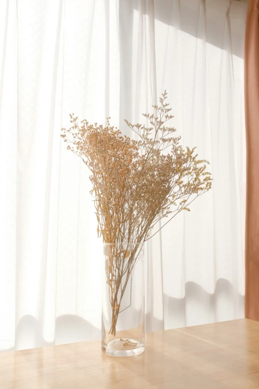 a close up of some dried flowers in a glass vase