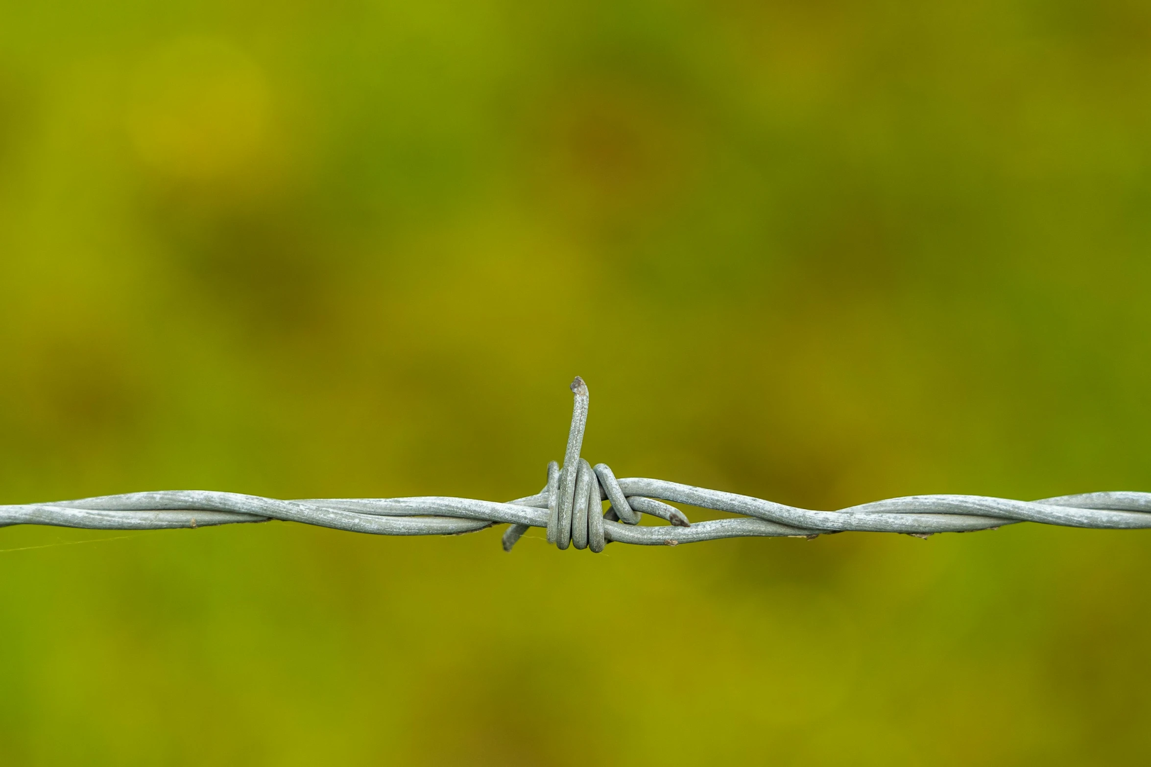 the barbwire fence is full of small gray wires