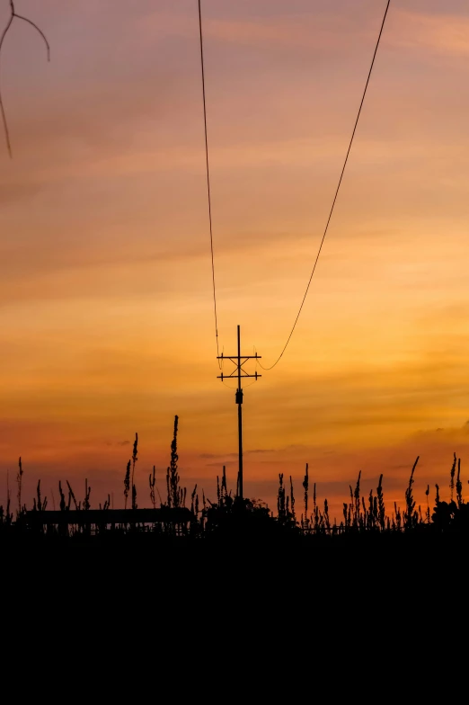 the power lines and telephone poles are silhouetted against the sunset