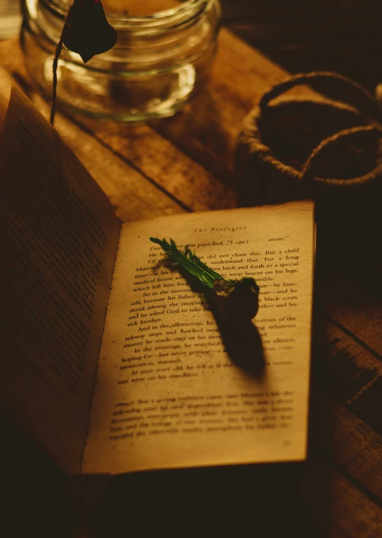 the book opened on a wooden surface is sitting on a table