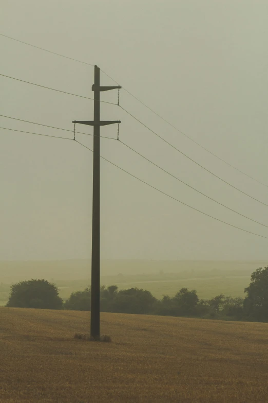 two telephone poles stand next to an empty field