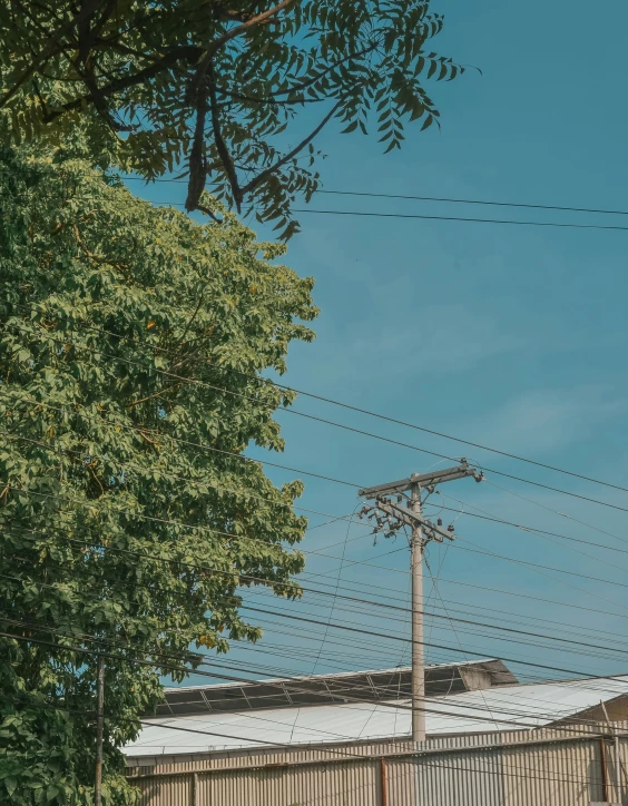 a clock tower and power lines stand in the foreground