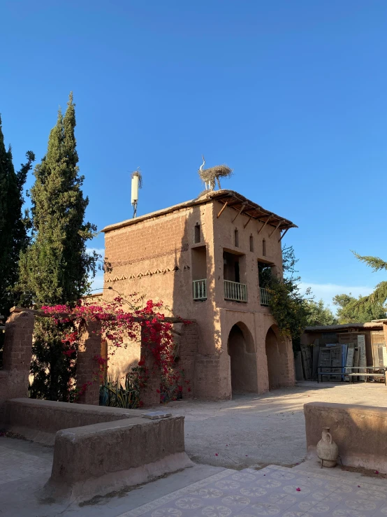 an adobe style building with plants growing on the roof