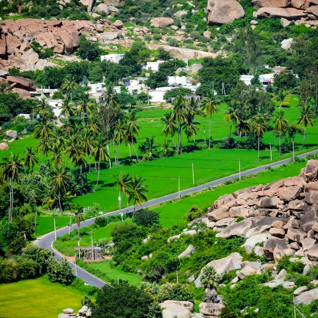 a scenic mountain with palm trees on the hillside